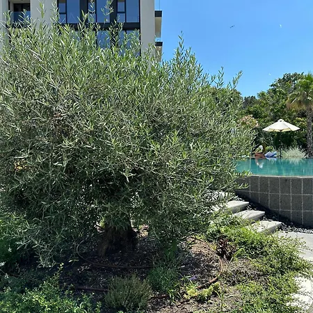 Appartement Elinor - 3 *